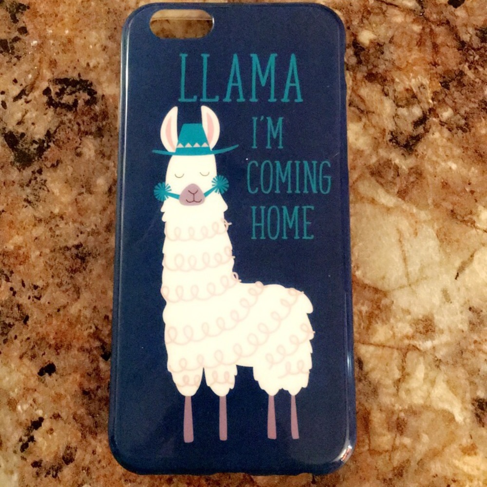 iPhone 6 case